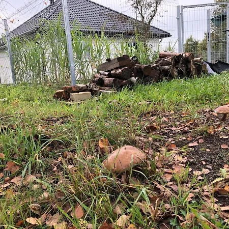 Dom Pod Lasem בית נופש *