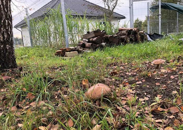 Dom Pod Lasem Ferienhaus *